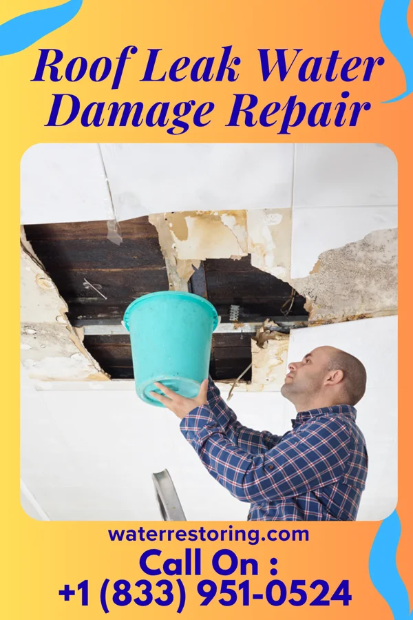 Roof Leak Water Damage Repair in Clewiston, FL