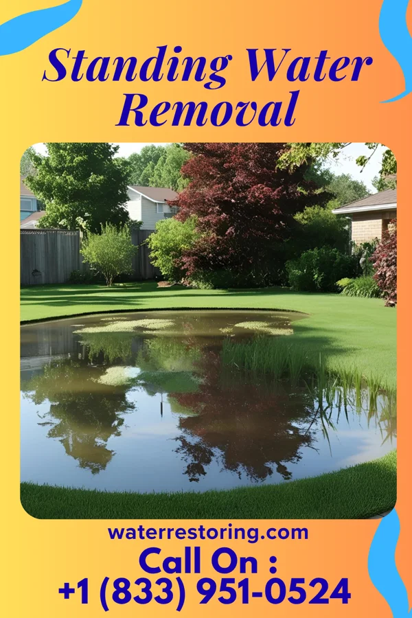 Standing Water Removal in Clewiston, FL
